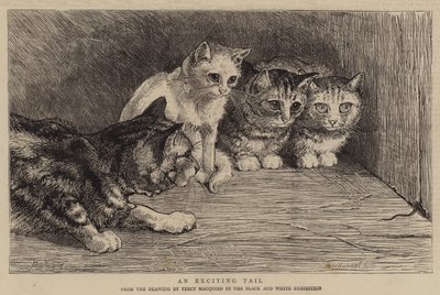 Une queue excitante - Percy Macquoid